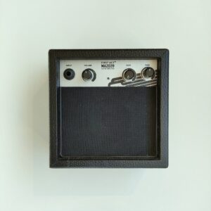 Gitarrenverstärker